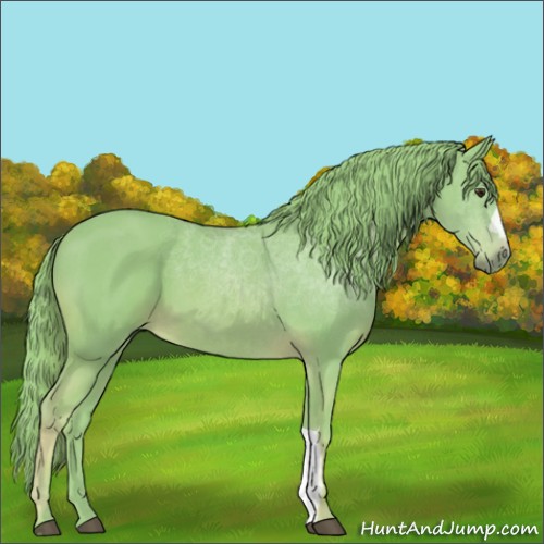 Horse Color:Watercolor Chestnut 