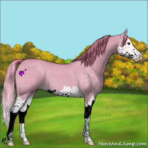 Horse Color:Watercolor Red Dun Splash 