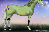 Horse Color:Watercolor Chestnut Splash 