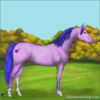 Horse Color:Watercolor Bay Dun 