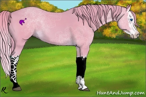 Horse Color:Watercolor Chestnut Splash 