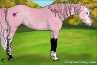 Horse Color:Watercolor Chestnut Splash 