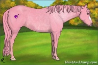 Horse Color:Watercolor Chestnut 