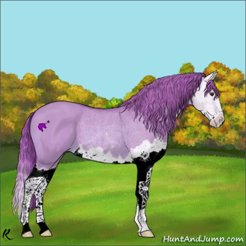 Horse Color:Watercolor Red Dun Splash