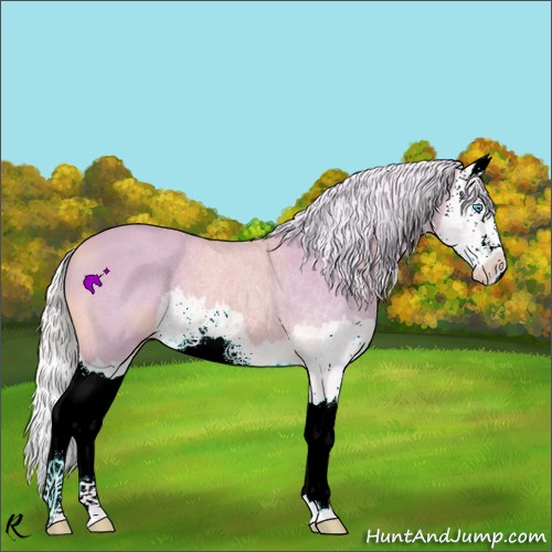 Horse Color:Watercolor Cremello Splash 