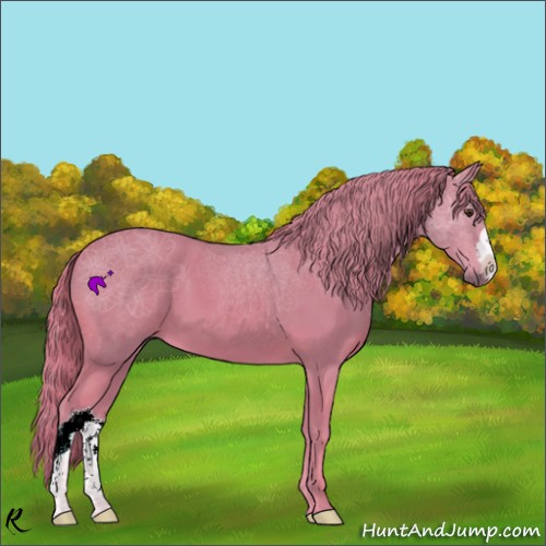 Horse Color:Watercolor Chestnut 