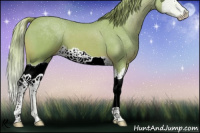 Horse Color:Watercolor Chestnut Splash 