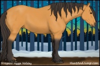 Horse Color:Buckskin Sabino