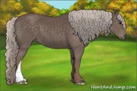 Horse Color:Silver Black 