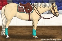 Horse Color:Palomino Roan 