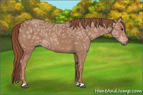 Horse Color:Chestnut Ice 