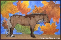 Horse Color:Silver Brown Dun Sabino Brindle 