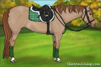 Horse Color:Red Dun 
