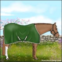 Horse Color:Chestnut Blanket 