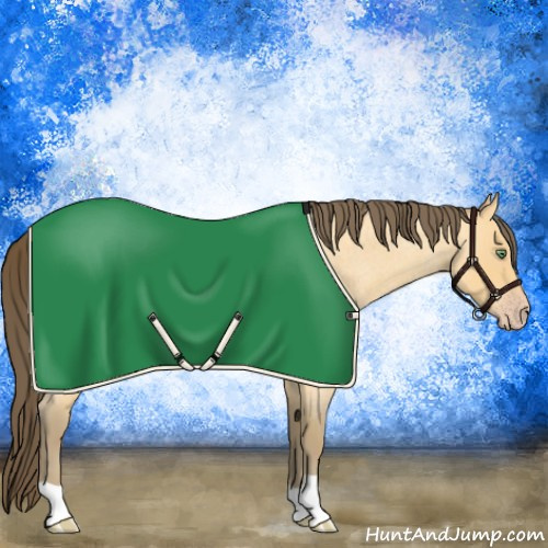 Horse Color:Amber Cream Champagne Roan 