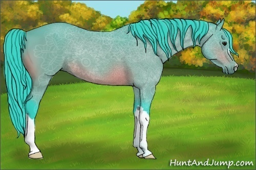 Horse Color:Watercolor Bay 