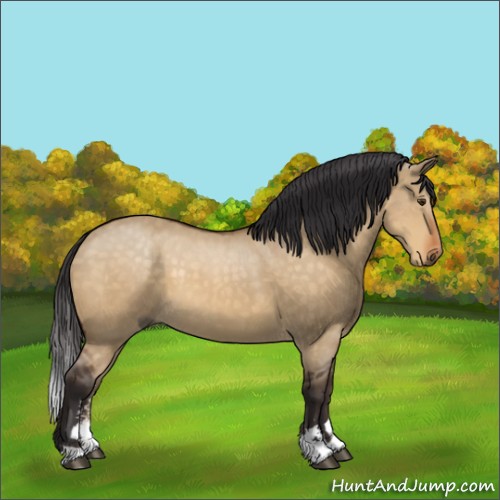 Horse Color:Buckskin Dun Sabino