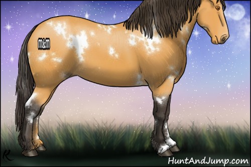 Horse Color:White Spotted Buckskin