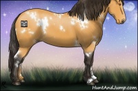 Horse Color:White Spotted Buckskin