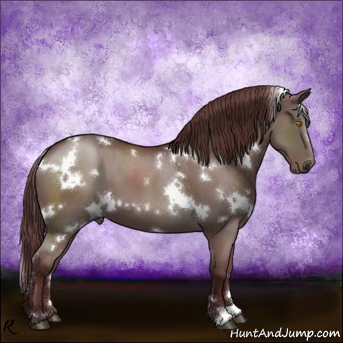 Horse Color:Gray White Spotted Chocolate Grullo 