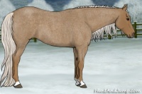 Horse Color:Silver Smoky Blue Roan 