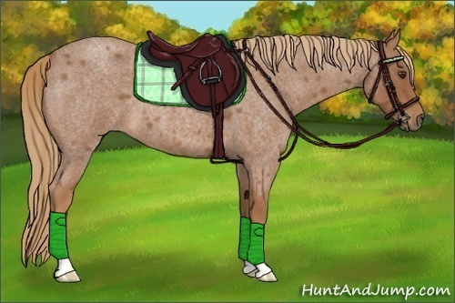 Horse Color:Red Roan 