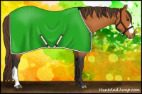 Horse Color:Buckskin Appaloosa 