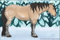 Horse Color:Buckskin Ice 
