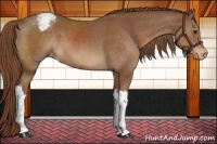 Horse Color:Chestnut Varnish 