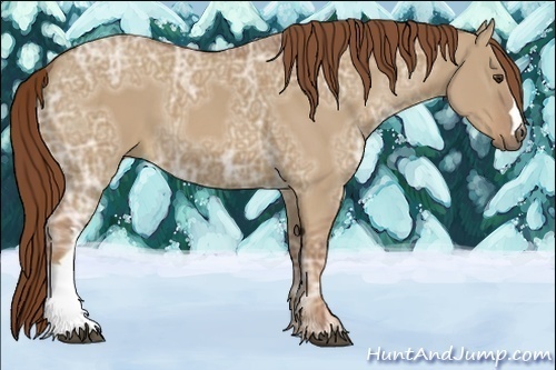 Horse Color:Red Dun Ice 