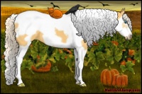 Horse Color:Palomino Splash Tobiano Frame 