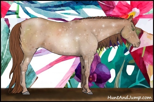 Horse Color:Chocolate Bay Pearl