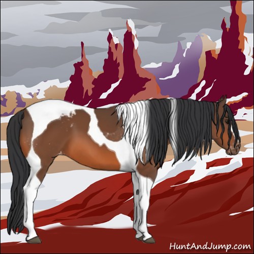 Horse Color:Bay Tobiano Blanket