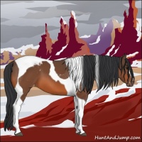 Horse Color:Bay Tobiano Blanket 