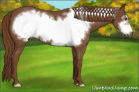 Horse Color:Gray Red Roan Frame
