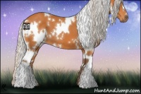 Horse Color:White Spotted Silver Buckskin 