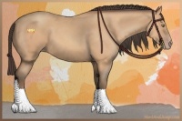 Horse Color:Amber Champagne Sabino 