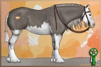 Horse Color:Silver Black Splash