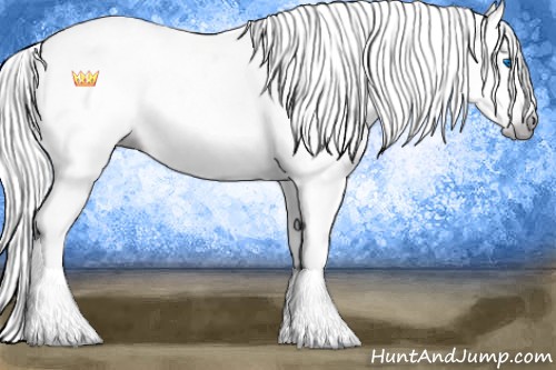 Horse Color:Gray Silver Amber Champagne Dun Splash Tobiano Blanket Rabicano