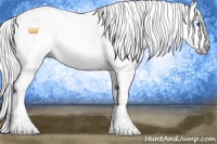 Horse Color:Gray Silver Amber Champagne Dun Splash Tobiano Blanket Rabicano 