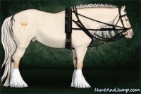 Horse Color:Silver Classic Champagne Roan Dun Rabicano 