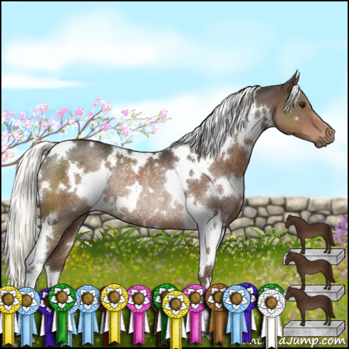 Horse Color:White Spotted Liver Chestnut Rabicano