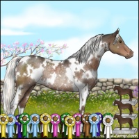 Horse Color:White Spotted Liver Chestnut Rabicano