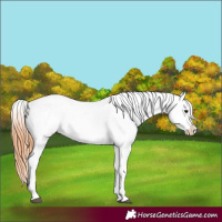 Horse Color:Bay Dun Tobiano Near Fewspot 