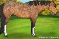 Horse Color:Buckskin Ice 