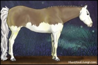 Horse Color:Silver Black Splash 