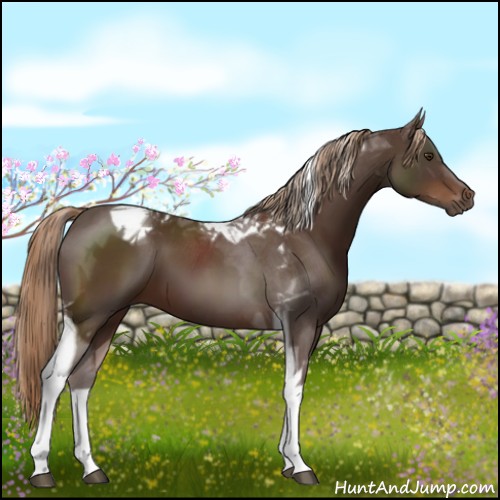 Horse Color:Liver Chestnut Tobiano 