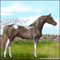 Horse Color:Liver Chestnut Tobiano 