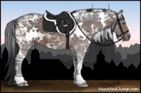 Horse Color:White Spotted Brown Ice 