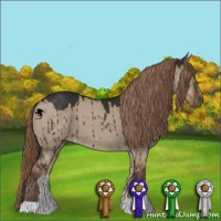 Horse Color:Liver Red Dun Brindle 